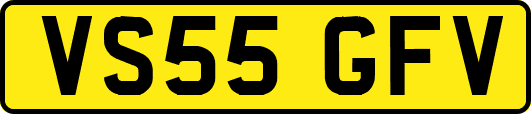 VS55GFV