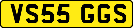 VS55GGS