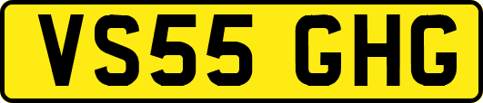 VS55GHG