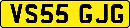 VS55GJG