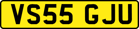 VS55GJU