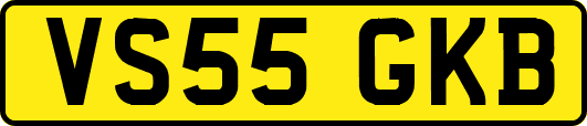 VS55GKB