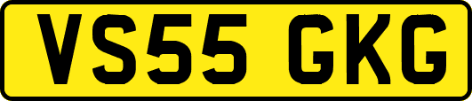 VS55GKG