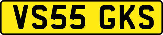 VS55GKS