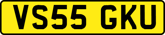 VS55GKU