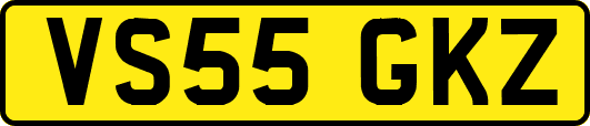 VS55GKZ