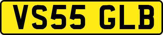 VS55GLB