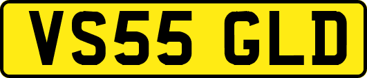 VS55GLD
