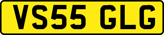 VS55GLG