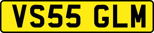 VS55GLM