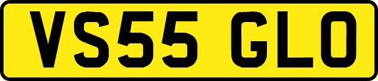 VS55GLO