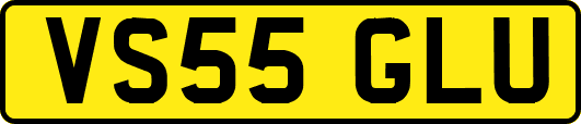 VS55GLU