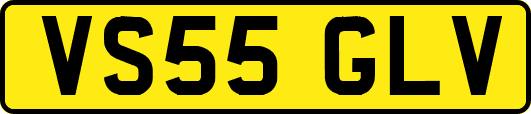 VS55GLV