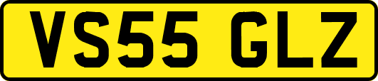 VS55GLZ