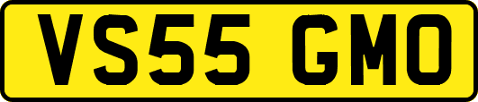 VS55GMO