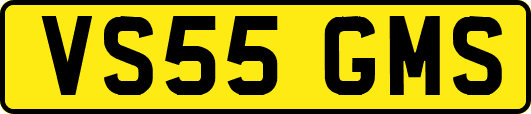 VS55GMS