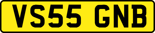 VS55GNB