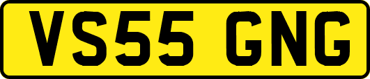 VS55GNG