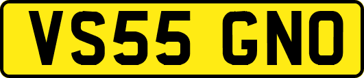 VS55GNO