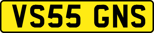 VS55GNS