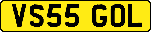 VS55GOL
