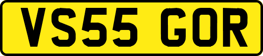 VS55GOR