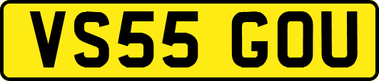VS55GOU