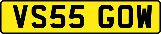 VS55GOW
