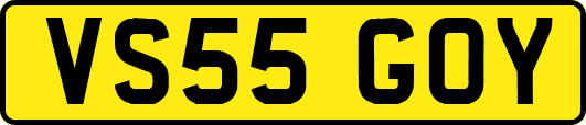 VS55GOY