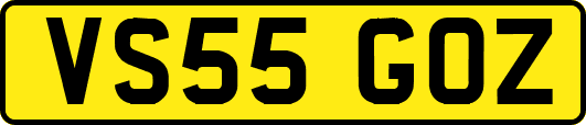 VS55GOZ