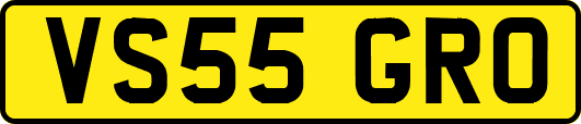 VS55GRO