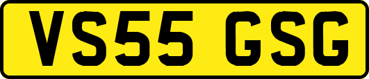 VS55GSG