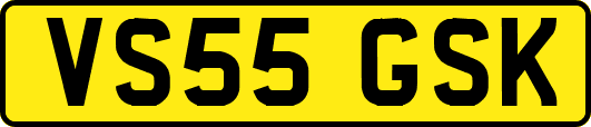 VS55GSK