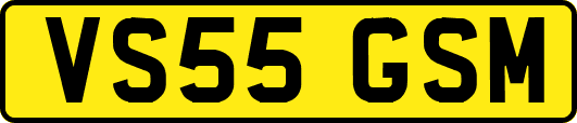 VS55GSM