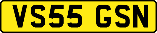 VS55GSN