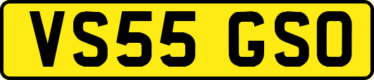 VS55GSO