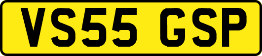 VS55GSP