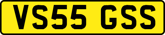 VS55GSS