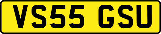 VS55GSU