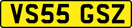 VS55GSZ