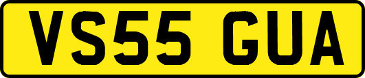 VS55GUA