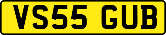 VS55GUB
