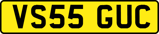 VS55GUC