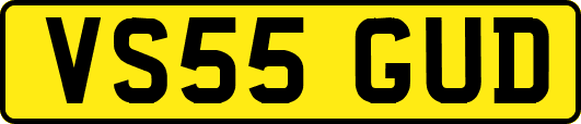 VS55GUD