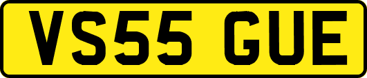 VS55GUE