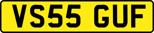VS55GUF
