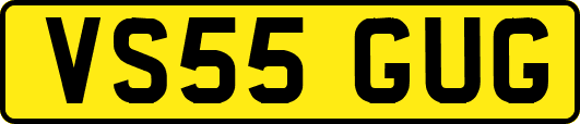VS55GUG