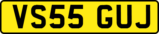 VS55GUJ