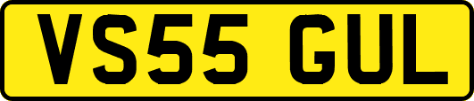 VS55GUL