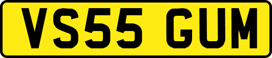 VS55GUM
